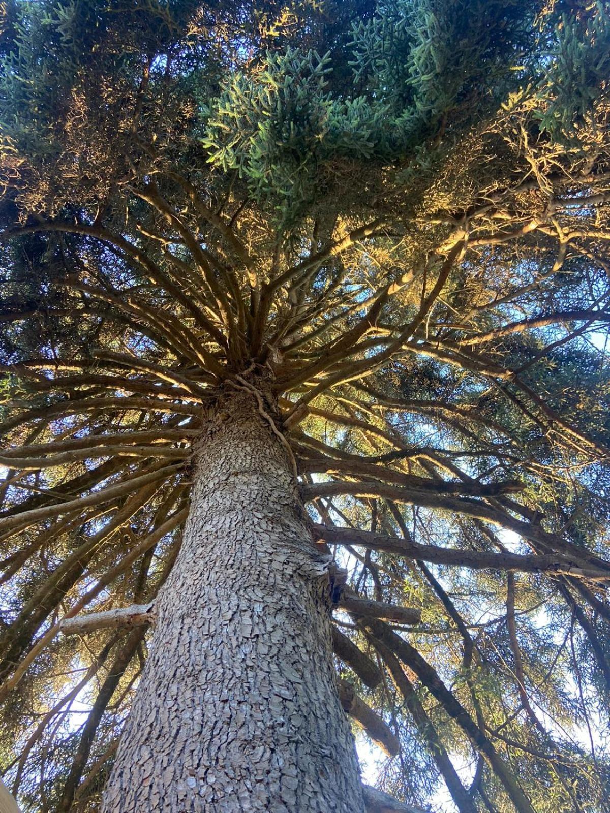 Gite O Nature Varen Dış mekan fotoğraf